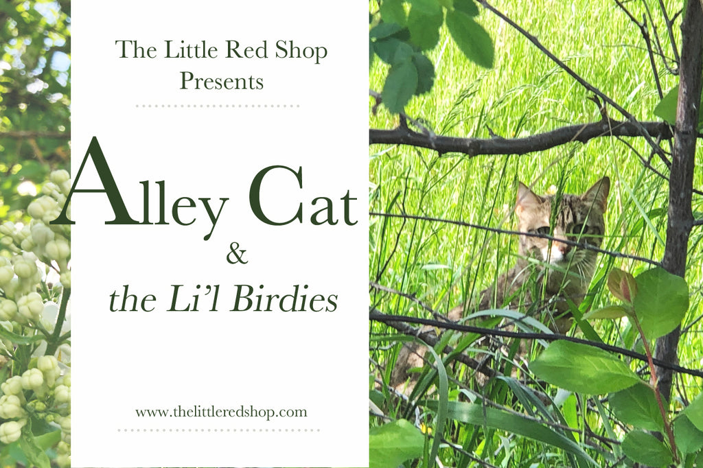 Alley Cat and...the L'il Birdies