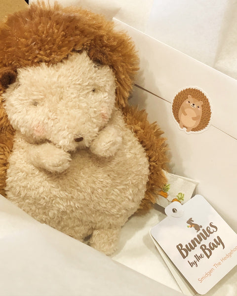 Cute Packaging for Smidgen the Hedgehog in The Little Red Shop