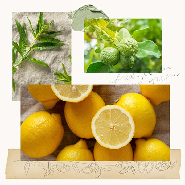 Fresh, Clean & Green Lemon & Leaf Images