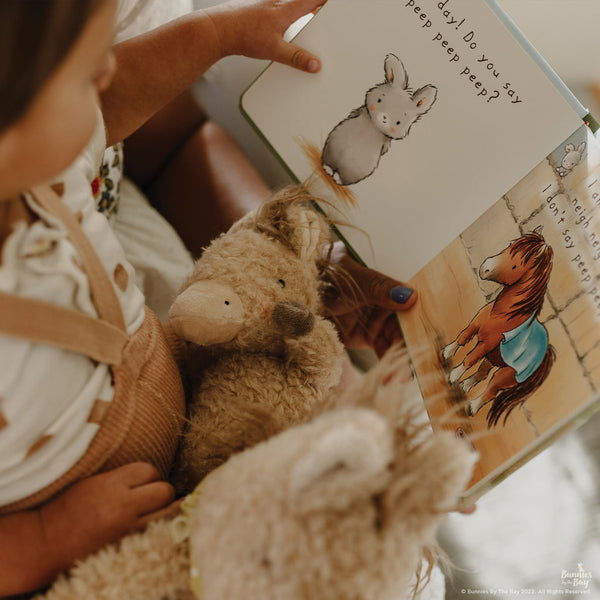 Bunnies by the Bay Wee Pony Boy, Pony Boy the Horse, and Who Says Peep Board book during family story time