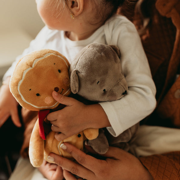 Ginger & Brownie Bear with Family