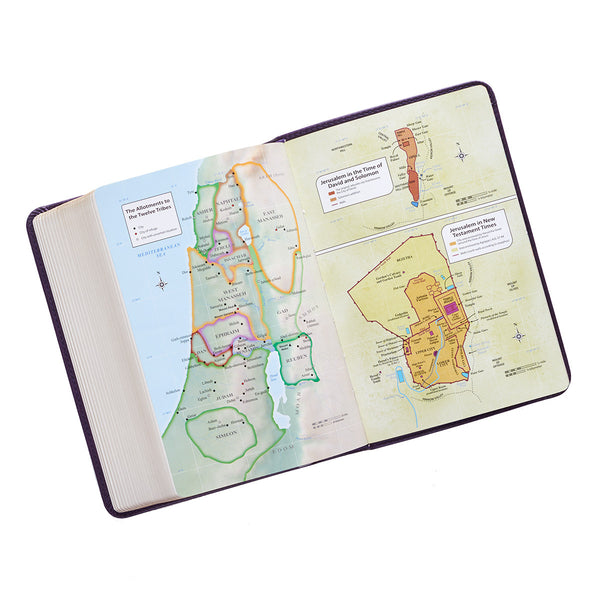 Purple Large Print Compact KJV Bible ~ Map View