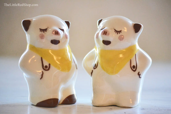 Close Up view of Vintage Mid Century Piggy Salt & Pepper Shaker Set