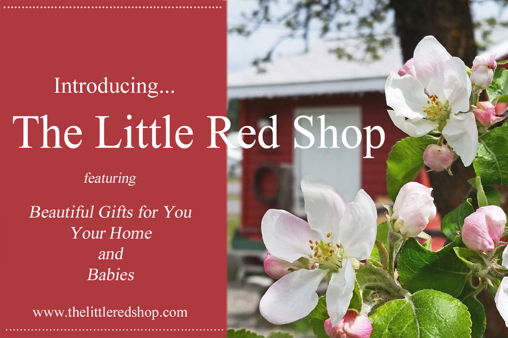 Introducing...The Little Red Shop!
