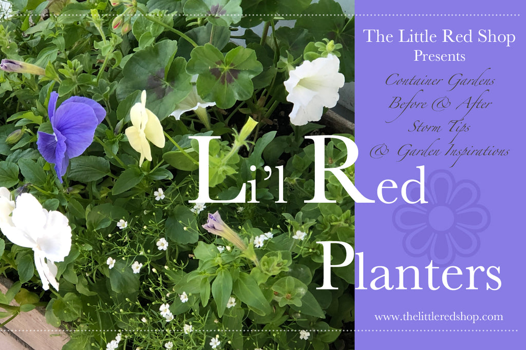 Li'l Red Planters