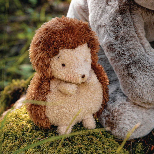 Smidgen the Hedgehog in the Woods