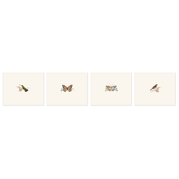 Four note cards with illustrations of birds on a cream background