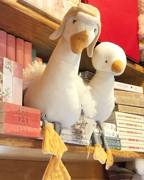 Two plush Geese on a bookshelf with books