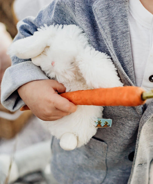 Fluffy Stuffed Bunny Rabbit Stuffed Animal