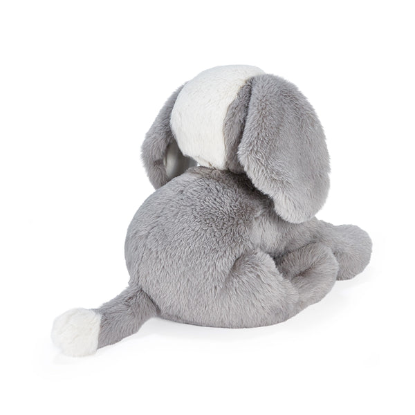 Back view Gray plush puppy toy on a white background