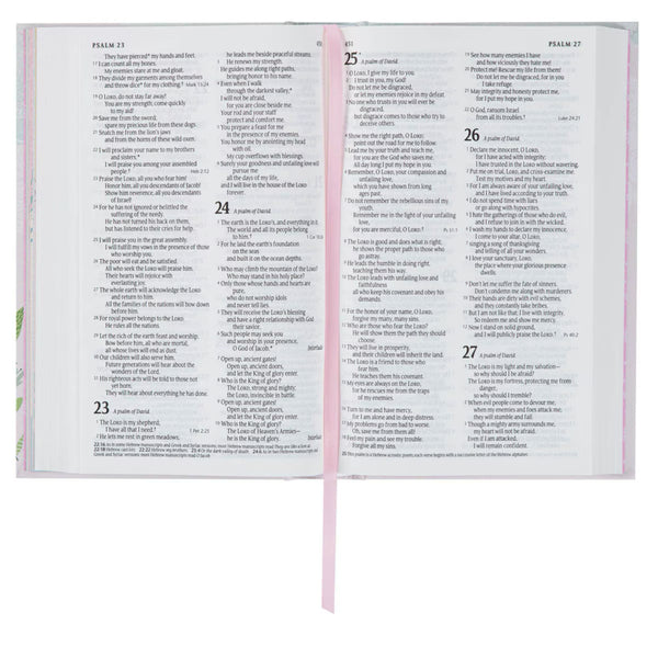 Open Bible displaying Psalms 23 and 27 on a white background