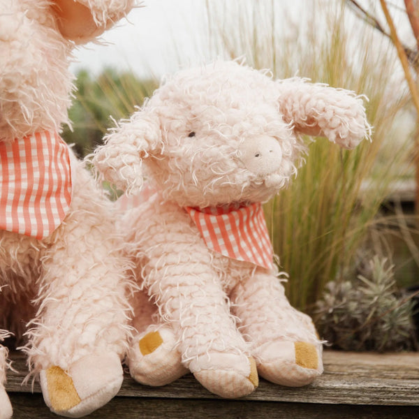 Hammie the Pig sitting next to Big Hammie the Pig Stuffed Animal