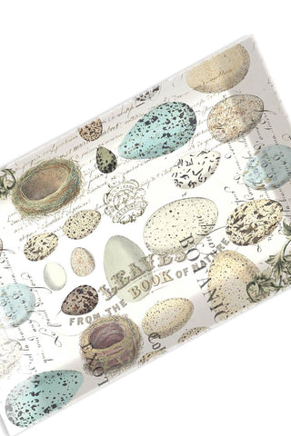 Michel Design Nest & Eggs Glass Soap Dish