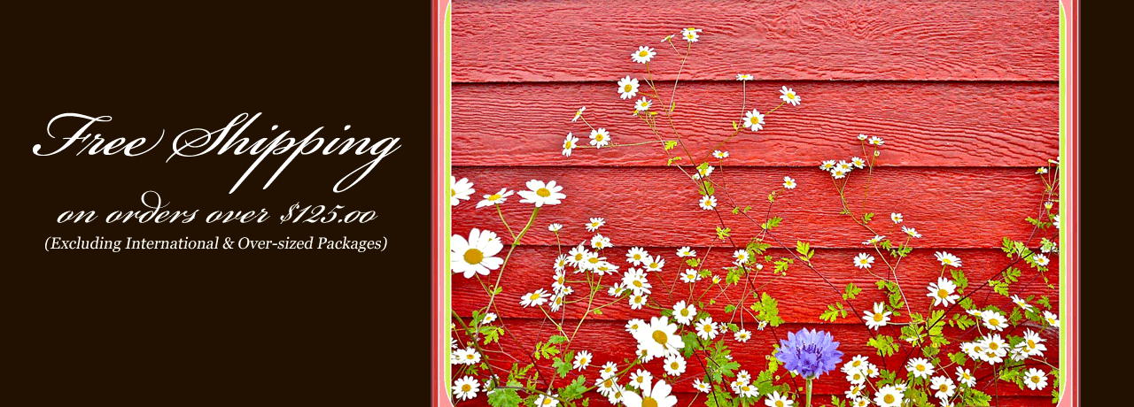 Banner Featuring Free shipping on eligible orders of $125.00 information and The Little Red Shop Clapboard siding with little white daisies