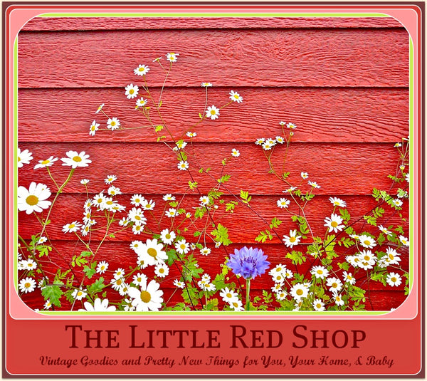 The Little Red Shop Red Siding & Little Daisy Postcard Image