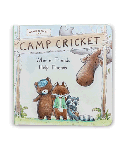 Camp Cricket