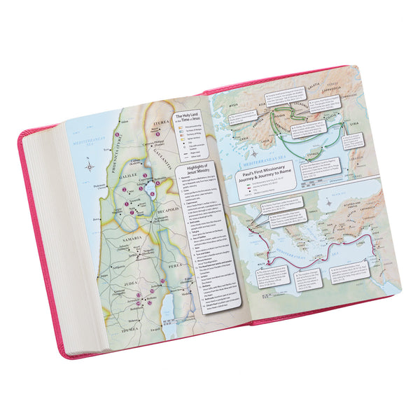 Pink Large Print Compact KJV Bible ~ Map Page View